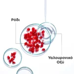 Garnier Υφασμάτινη Μάσκα Ενυδάτωσης Προσώπου Με Ρόδι & Υαλουρονικό Οξύ - Image 8