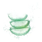 Fructis Aloe Hydra Bomb Σαμπουάν Ενυδάτωσης 400Ml - Image 5