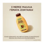 Botanic Therapy Pure Avocado Oil & Shea Butter Σαμπουάν Εντατικής Θρέψης 400Ml - Image 6