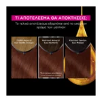 Olia Μόνιμη Βαφή Μαλλιών Χωρίς Αμμωνία No 5.5 Akazoy Maoni - Image 8