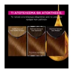 Olia Μόνιμη Βαφή Μαλλιών Χωρίς Αμμωνία No 5.3 Καστανό Ανοικτό Χρυσό - Image 3
