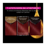 Olia Μόνιμη Βαφή Μαλλιών Χωρίς Αμμωνία No 6.60 Έντονο Κόκκινο - Image 2