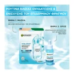 Garnier Hyaluron Barrier Repair Serum Mask - Image 6