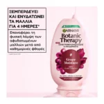 Garnier Botanic Therapy Grape Moisture Conditioner 200Ml - Image 7